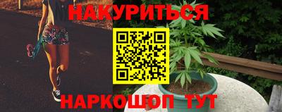 крисы Беслан
