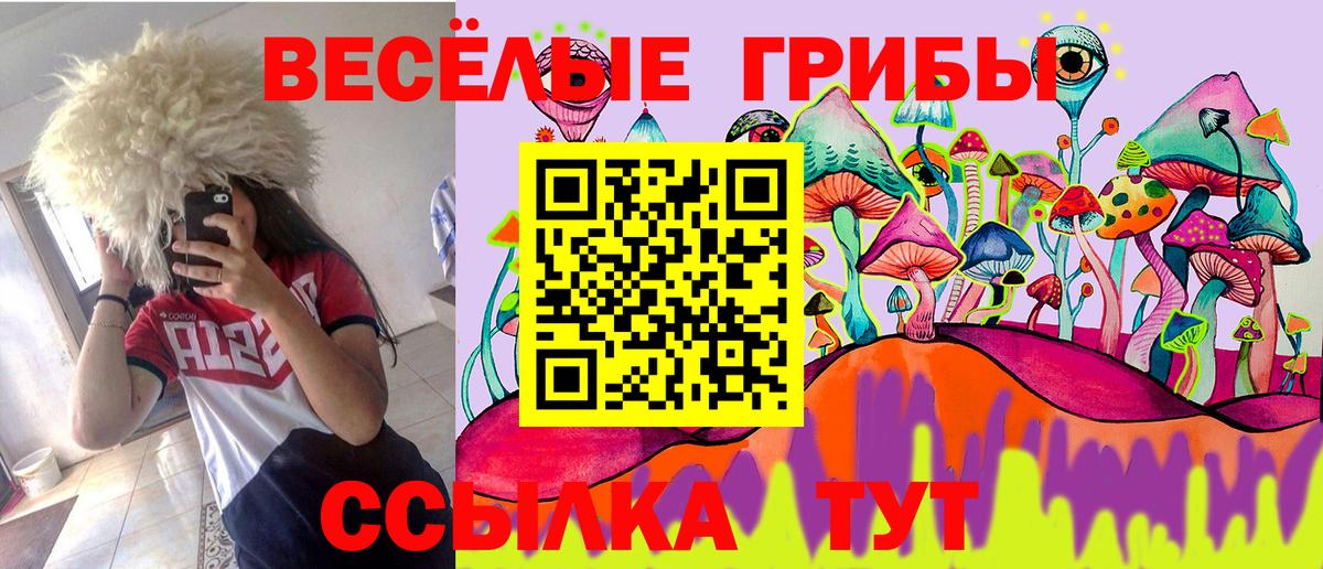 Псилоцибиновые грибы Magic Shrooms Клин
