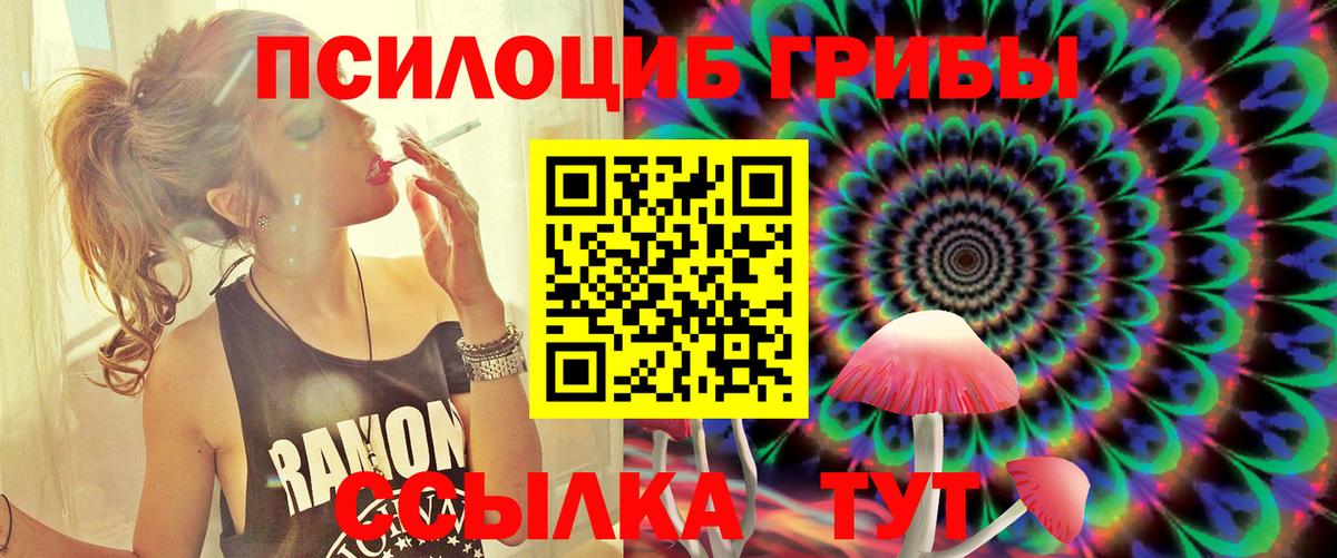 Псилоцибиновые грибы Psilocybe  Вход с VPN  Клин  Галлюциногенные грибы Magic Shrooms 