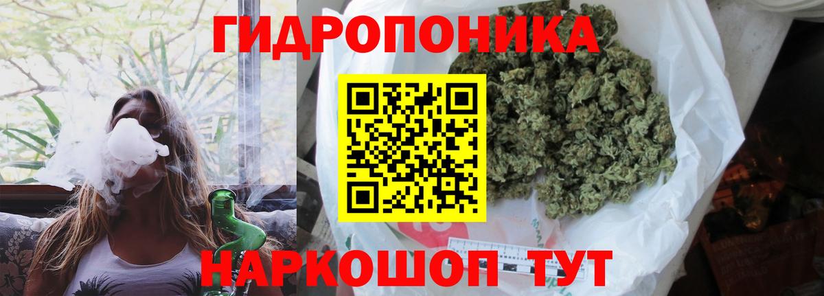Клин  Конопля MAZAR  Вход с VPN  Канабис планчик  Канабис SATIVA & INDICA 